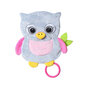 Öökull BabyOno FLAT OWL CELESTE, 446 hind ja info | Beebide mänguasjad | hansapost.ee