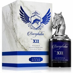 Parfüümvesi Armaf Bucephalus XII Blue EDP meestele, 100 ml hind ja info | Armaf Parfüümid, lõhnad ja kosmeetika | hansapost.ee