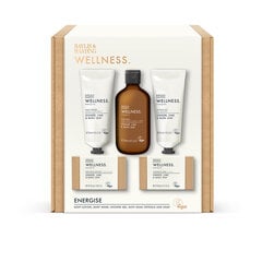 Kinkekomplekt Baylis & Harding Wellness Luxury Bathing цена и информация | Масла, гели для душа | hansapost.ee