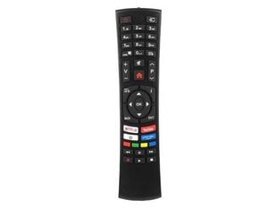 Lamex LXP4390 hind ja info | Lamex Televiisorid ja tarvikud | hansapost.ee