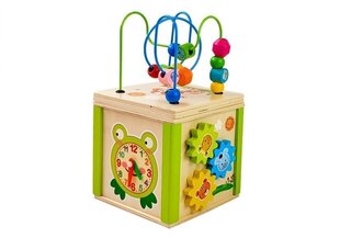 Puidust Mäng Kuubik 5 in 1 hind ja info | Beebide mänguasjad | hansapost.ee