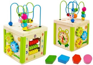 Деревянный игровой кубик 5 в 1 цена и информация | Игрушки для малышей | hansapost.ee