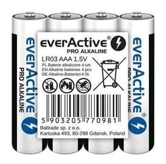 everActive AGMIX30BL цена и информация | Аккумуляторы для видеокамер | hansapost.ee