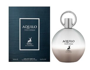 Парфюмированная вода Maison Alhambra Aquilo Pour Homme EDP для мужчин, 100 мл цена и информация | Духи для Него | hansapost.ee