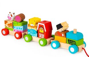 Puidust mängurong puidust klotsidega EcoToys, 20 tk hind ja info | Beebide mänguasjad | hansapost.ee