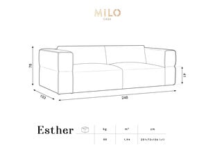 Диван Milo Casa Esther, 248x103x78 см, серый цвет цена и информация | Диваны | hansapost.ee