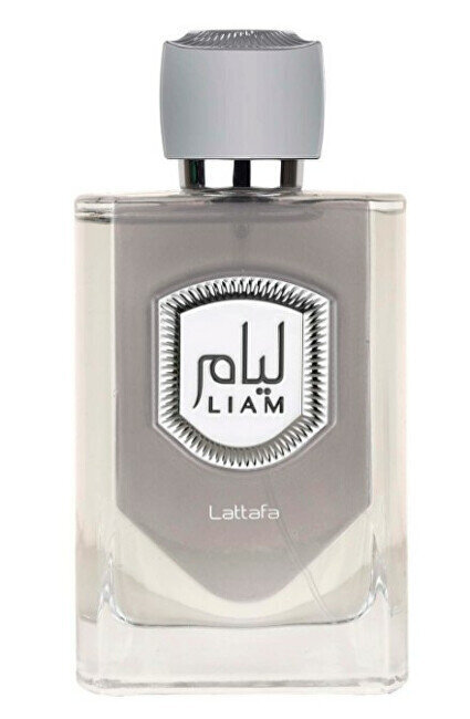 Parfüüm meestele Lattafa Perfume Liam Grey Edp, 100 ml цена и информация | Parfüümid meestele | hansapost.ee