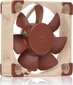 Noctua NF-A4x10 5V PWM цена и информация | Arvuti ventilaatorid | hansapost.ee