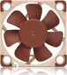 Noctua NF-A4x10 5V PWM hind ja info | Arvuti ventilaatorid | hansapost.ee