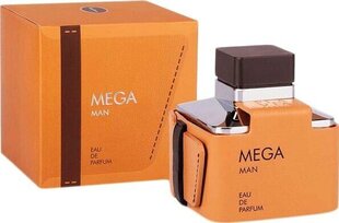 Parfüüm meestele Flavia Men's Mega Edp, 100 ml hind ja info | Parfüümid meestele | hansapost.ee