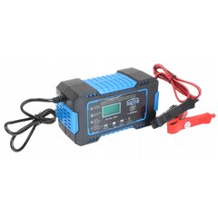 Зарядное устройство Satra, 12В, 6А, 4 - 100Ач цена и информация | Зарядные устройства | hansapost.ee