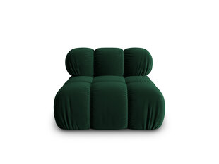 Кресло Milo Casa Tropea, зеленый цвет цена и информация | Кресла | hansapost.ee