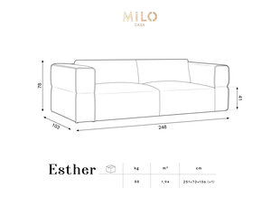 Диван Milo Casa Esther, 248x103x78 см, серый цвет цена и информация | Диваны | hansapost.ee