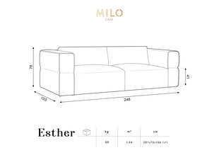 Диван Milo Casa Esther, 248x103x78 см, зеленый цвет цена и информация | Диваны | hansapost.ee
