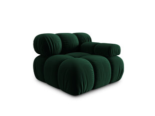 Кресло Milo Casa Tropea, зеленый цвет цена и информация | Кресла для отдыха | hansapost.ee