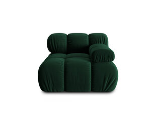Кресло Milo Casa Tropea, зеленый цвет цена и информация | Кресла | hansapost.ee