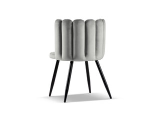 Комплект из 2 стульев Cosmopolitan Design Evora, серый цвет цена и информация | Стулья для кухни и столовой | hansapost.ee