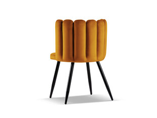 Комплект из 2 стульев Cosmopolitan Design Evora, оранжевый цвет цена и информация | Стулья для кухни и столовой | hansapost.ee