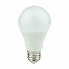 LED pirn Eko-light, E27, 820 lm, 3000 K, 1 tk. hind ja info | Lambipirnid ja LED-pirnid | hansapost.ee