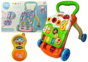 Толкалка для младенцев Baby Piano Walker с мини-пианино, разноцветная цена и информация | Игрушки для малышей | hansapost.ee