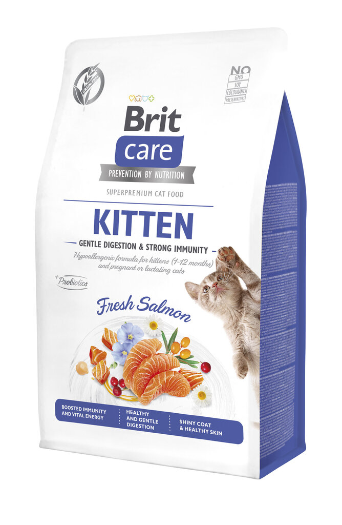 Brit Care Cat GF Kitten Gentle Digestion Strong Immunity noortele kassipoegadele lõhega, 400 g цена и информация | Kassi kuivtoit ja kassikrõbinad | hansapost.ee