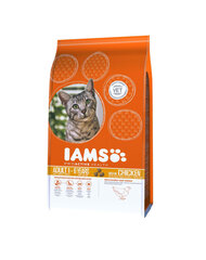 Iams Adult All Breeds с курицей, 10 кг цена и информация | Сухой корм для кошек | hansapost.ee
