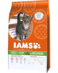 Iams ProActive Health Adult с ягнятиной и мясом курицы, 10 кг цена и информация | Сухой корм для кошек | hansapost.ee