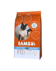 Iams ProActive Health Adult с рыбой и курицей, 10 кг цена и информация | Сухой корм для кошек | hansapost.ee