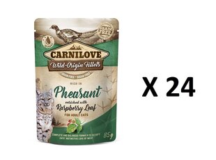 Carnilove консервы для кошек с фазаном и листьями малины 24 X  85г цена и информация | Carnilove Для котов | hansapost.ee