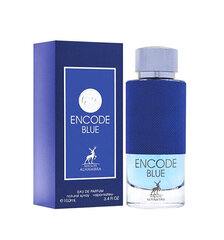 Духи мужские Maison Alhambra Encode Blue Original EDP, 100 мл цена и информация | Мужские духи | hansapost.ee
