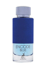 Духи мужские Maison Alhambra Encode Blue Original EDP, 100 мл цена и информация | Мужские духи | hansapost.ee