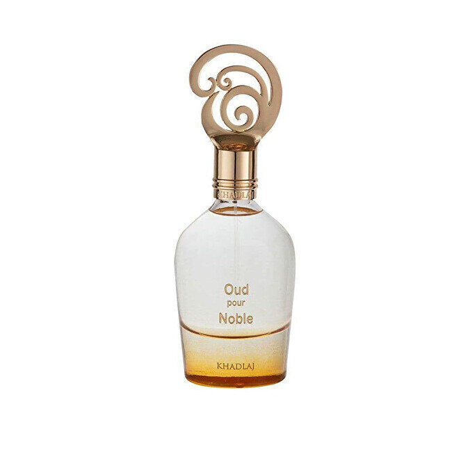 Parfüümvesi meestele Khadlaj Oud Pour Noble Perfume For Men EDP, 100ml цена и информация | Parfüümid meestele | hansapost.ee