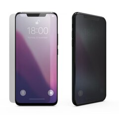 Mocco Privacy Tempered glass Защитное Стекло для Samsung Galaxy S21 FE 5G цена и информация | Защитные пленки для телефонов | hansapost.ee