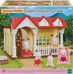 SYLVANIAN FAMILIES Suvila hind ja info | Arendavad laste mänguasjad | hansapost.ee