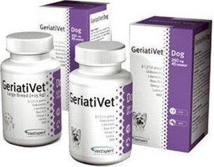 Пищевая добавка для пожилых собак крупных пород VetExpert GeriatiVet Dog, 45 шт. цена и информация | VetExpert Для собак | hansapost.ee
