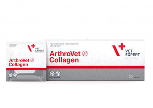 Пищевая добавка для собак и кошек VetExpert Arthrovet Collagen, 2,5 г, 60 шт. цена и информация | VetExpert Для собак | hansapost.ee