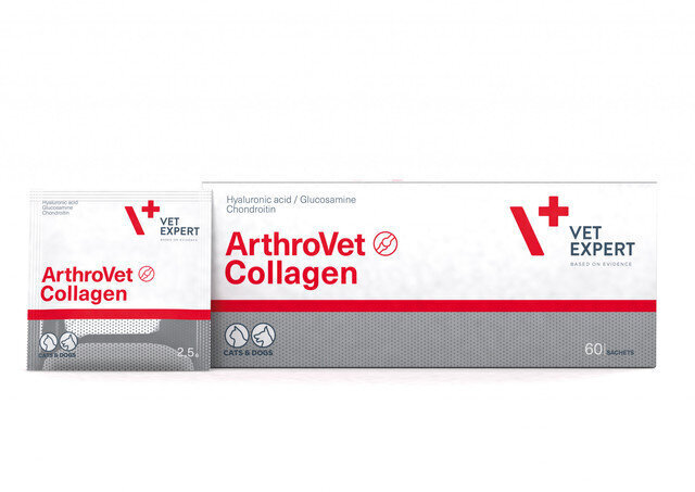 Toidulisand koertele ja kassidele VetExpert Arthrovet Collagen, 2,5 g, 60 ühikut цена и информация | Vitamiinid ja parasiiditõrje | hansapost.ee