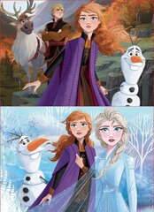 Головоломка Frozen, 2 шт. x 50 деталей цена и информация | Educa Товары для детей и младенцев | hansapost.ee