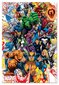 Pusle Educa Borras Heroes Marvel, 500 tk цена и информация | Pusled lastele ja täiskasvanutele | hansapost.ee