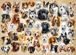 Pusle 200 Collage with Dogs 222162 цена и информация | Pusled lastele ja täiskasvanutele | hansapost.ee
