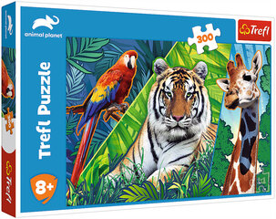 Puzzle 272 animal planet/ *300шт цена и информация | Пазлы | hansapost.ee