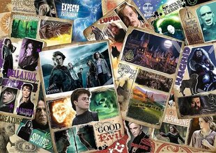 Pusle 2000 elementi, Harry Potter Heroes price and information | Puzzles for children and adults | hansapost.ee