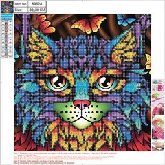 Teemantmosaiigikomplekt Cat, 30x30 cm цена и информация | Алмазная мозаика | hansapost.ee