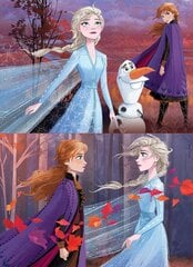 Pusle Frozen II, 2 tk. x 25 detaili цена и информация | Пазлы | hansapost.ee