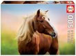 Pusle Hobune, 500 detaili цена и информация | Pusled lastele ja täiskasvanutele | hansapost.ee