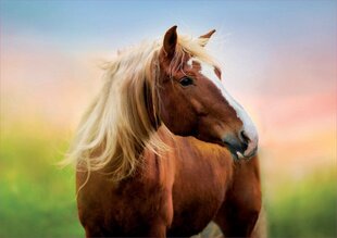 Pusle Hobune, 500 detaili hind ja info | Pusled lastele ja täiskasvanutele | hansapost.ee