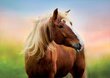 Pusle Hobune, 500 detaili hind ja info | Pusled lastele ja täiskasvanutele | hansapost.ee