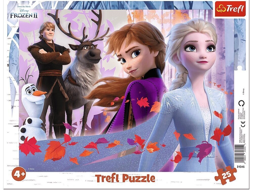 Pusle Frozen II, 25 tk hind ja info | Pusled lastele ja täiskasvanutele | hansapost.ee