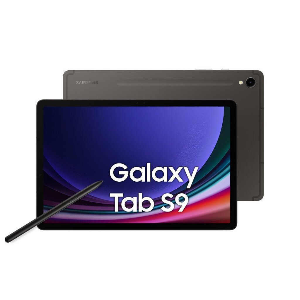 Samsung Galaxy Tab S9 WiFi 256GB Graphite SM-X710NZAEEUE цена и информация | Tahvelarvutid | hansapost.ee