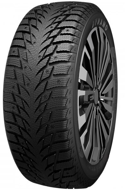 Dynamo Snow-H MWH02 215/70R16 100 S hind ja info | Talverehvid | hansapost.ee